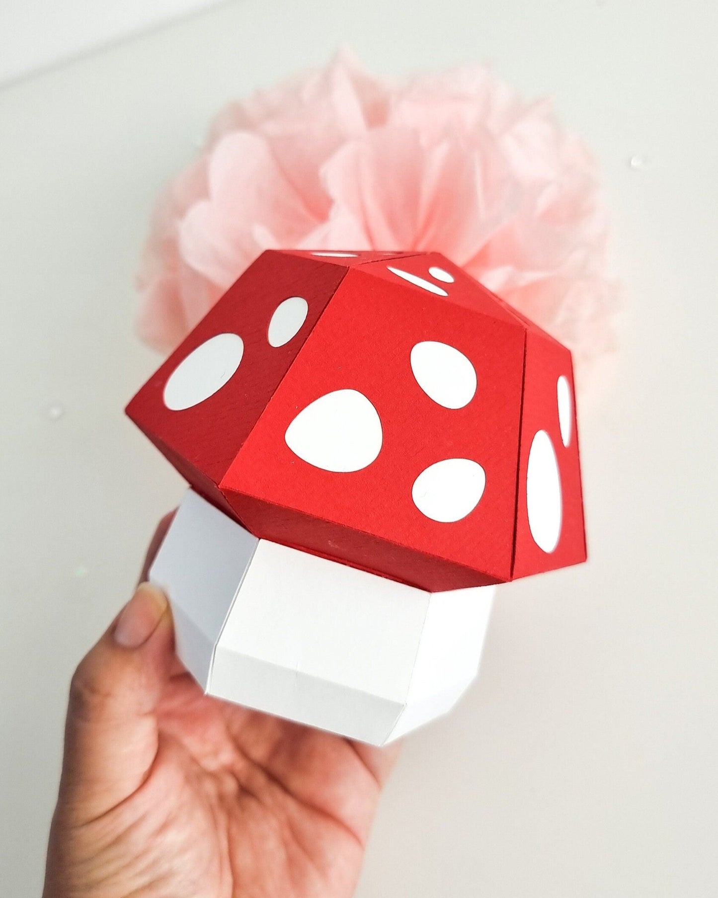 Pilz Partyboxen | Set Boxen